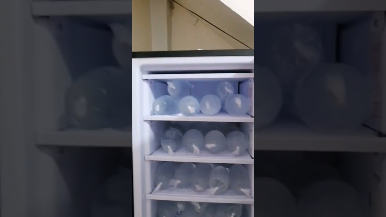 Look! CONDURA Freezer Inverter in Philipines (CONDURA Freezer) Endaymars Vlog