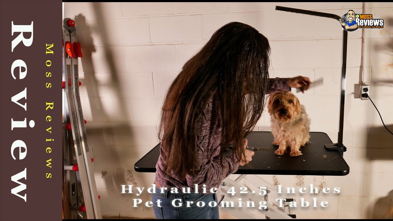 Best Hydraulic Pet Grooming Table