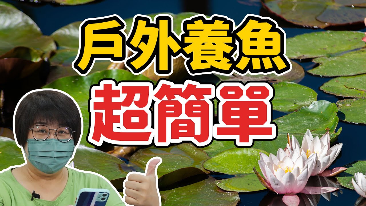 不用花錢只要做對這件事，就能讓戶外缸生生不息！If you do this right, you can keep your outdoor tank alive!｜AC草影水族