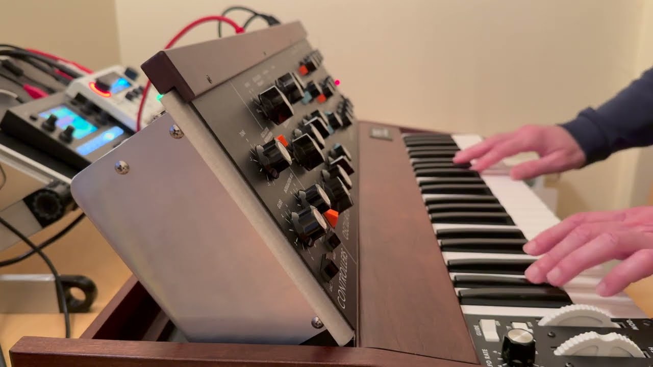 minimoog & delay
