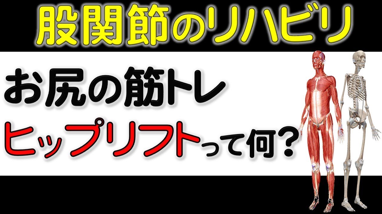 19. 【変形性股関節症】や【人工股関節】のリハビリ！ ヒップリフトについて解説