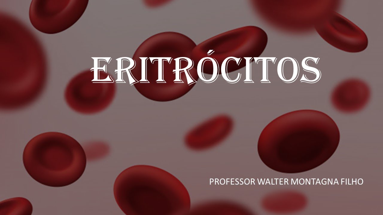 Eritr&oacute;citos