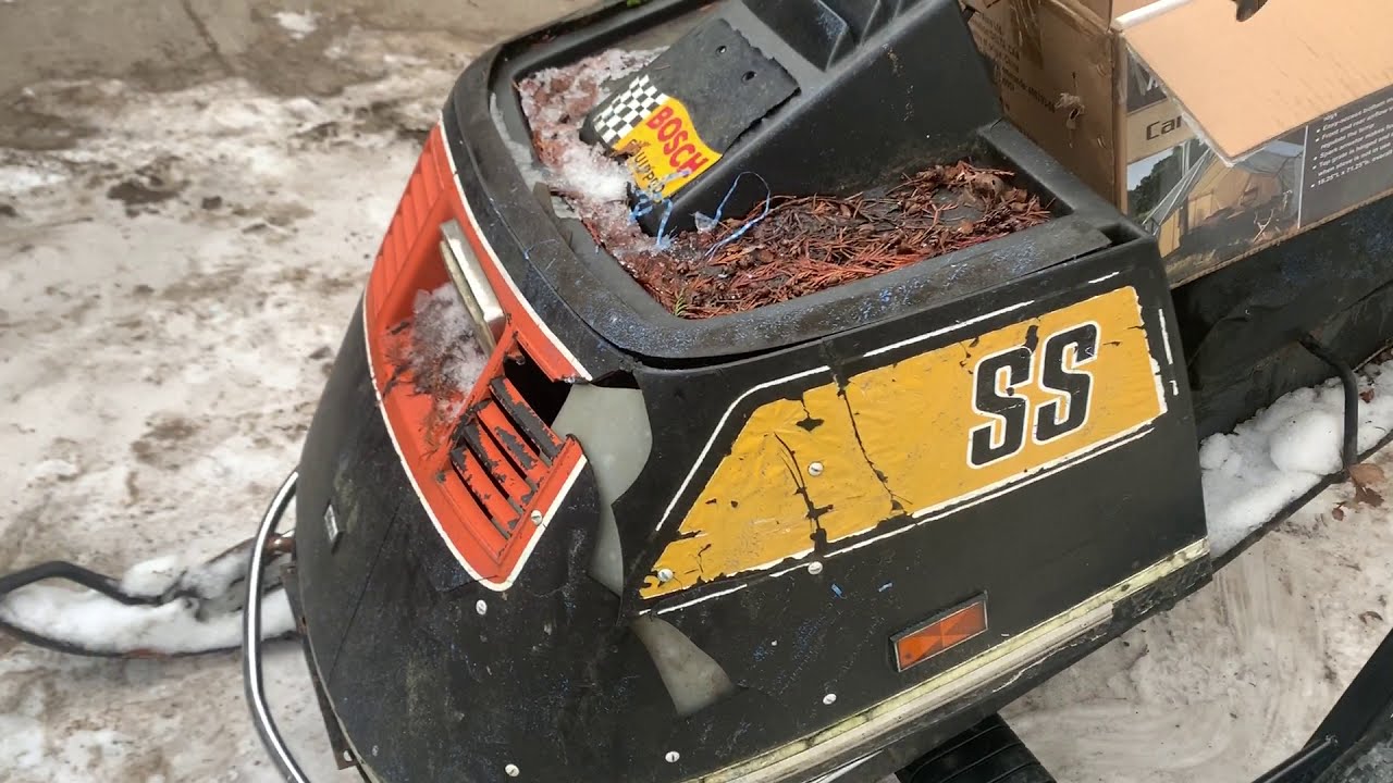 Just bought 5 skidoo elan and 3 are ss models!!!