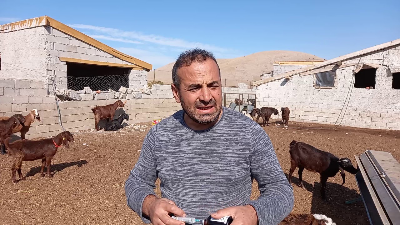 Kecilerde Parazitler İçin Tavsiyeler