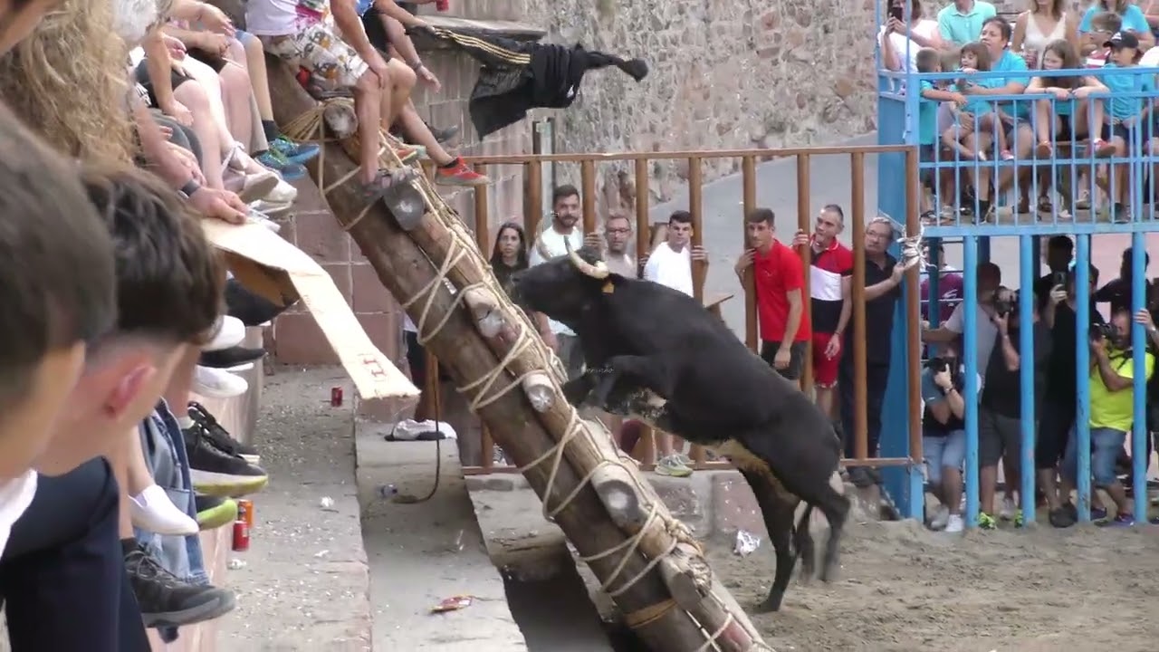 El Cali arrasa en Vilafames 2025 - Tarde de Gala 