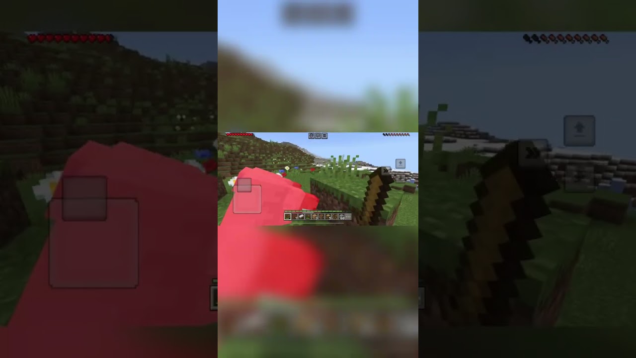 Typing random seed numbers. #tiktok #viralvideo #minecraft