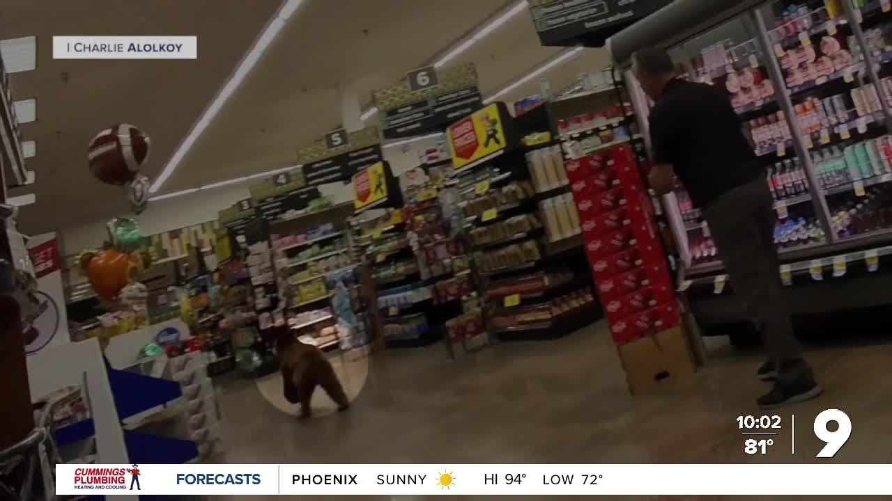 Bear in Fry’s grocery store in Oro Valley shocks shoppers