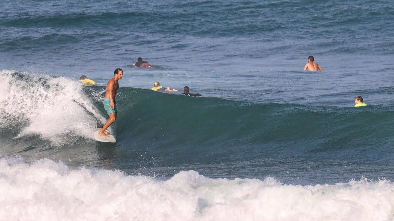 End of summer Panda classic egg 6'3 twinfin