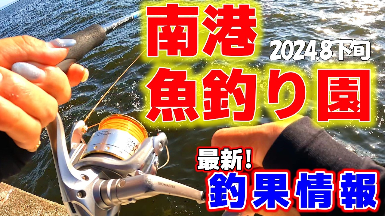【南港魚釣り園】人気の南港魚釣り園で実釣調査！サビキでアジ好調！タチウオはいかに！？