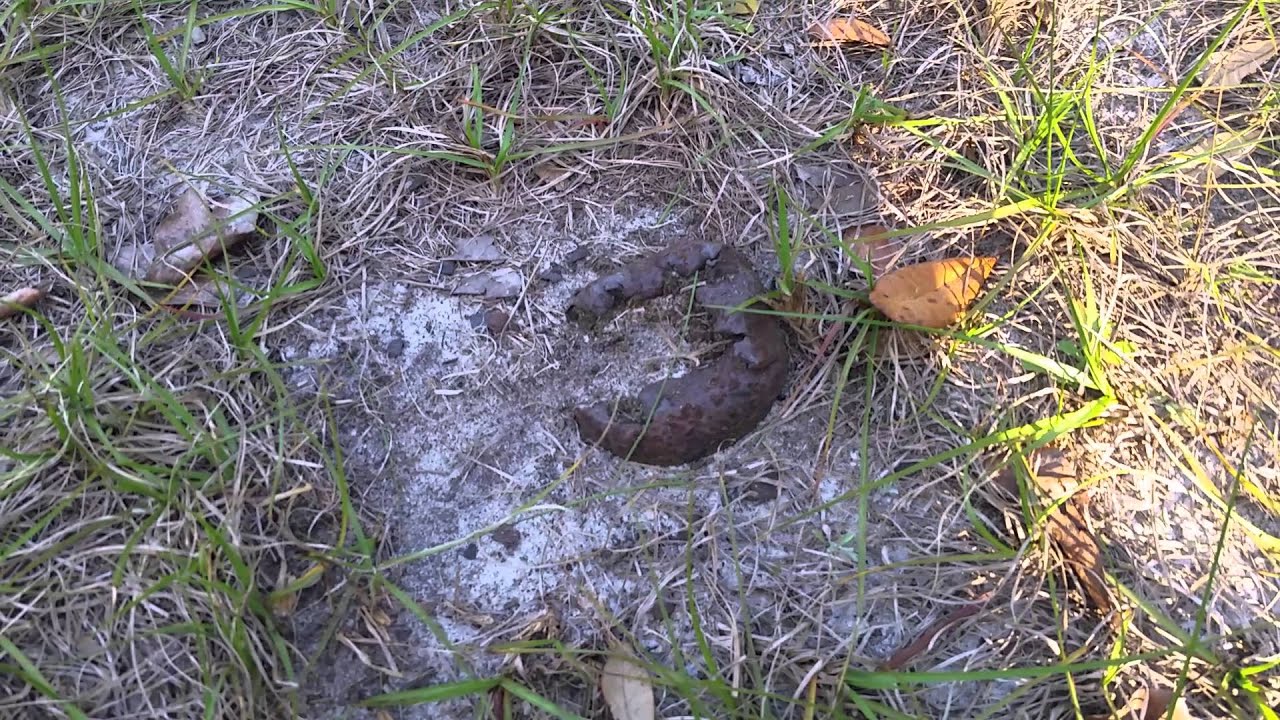 Old Cemetery in Umatilla FL (Fort Mason Cemetery)