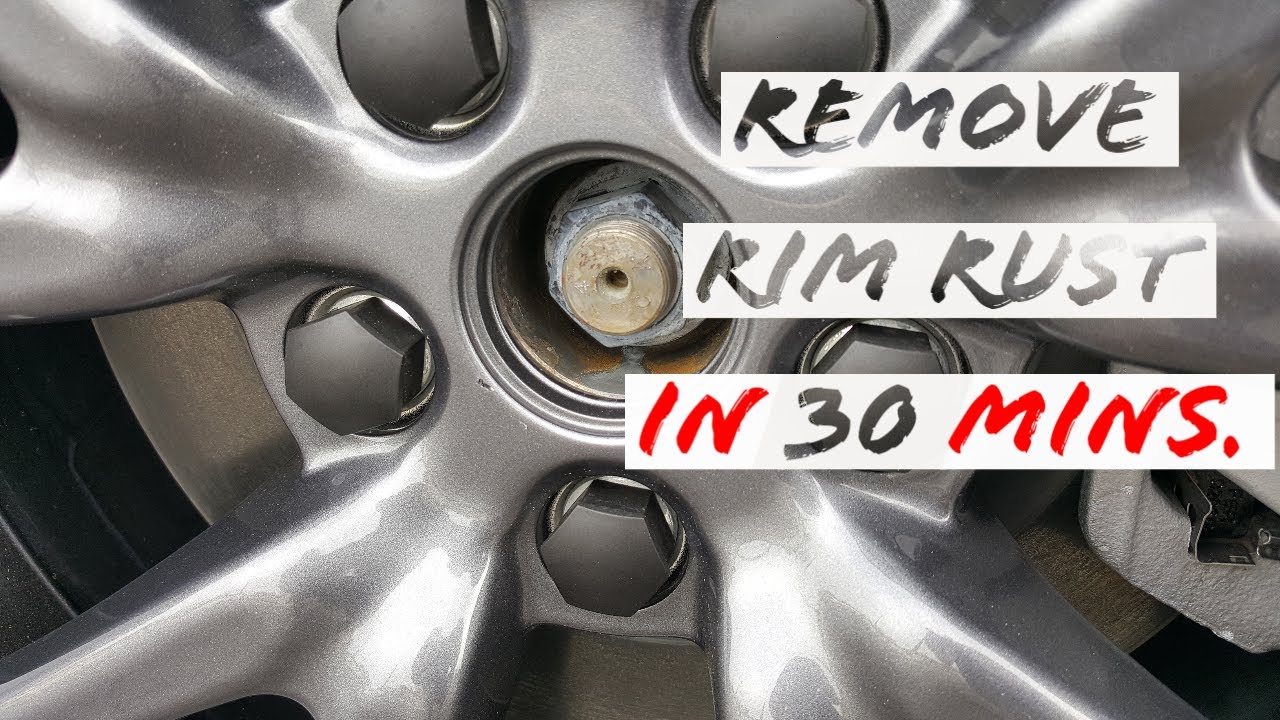 Tesla Model 3 Clean Rim Rust + Hub Storage Bag