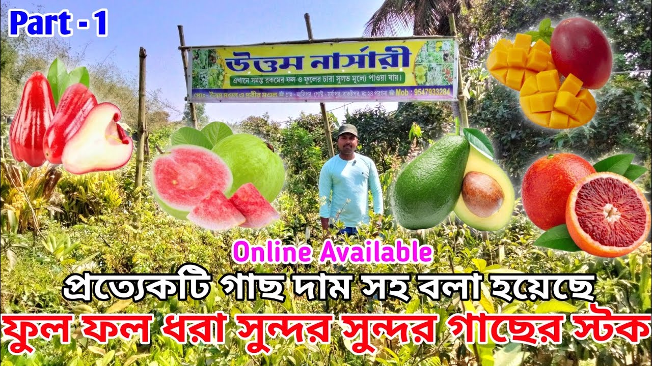 ফুল ফল ধরা সুন্দর সুন্দর গাছের স্টক || Part - 1|| উত্তম নার্সারি || প্রত্যেকটি গাছ দাম সহ বলা হয়েছে