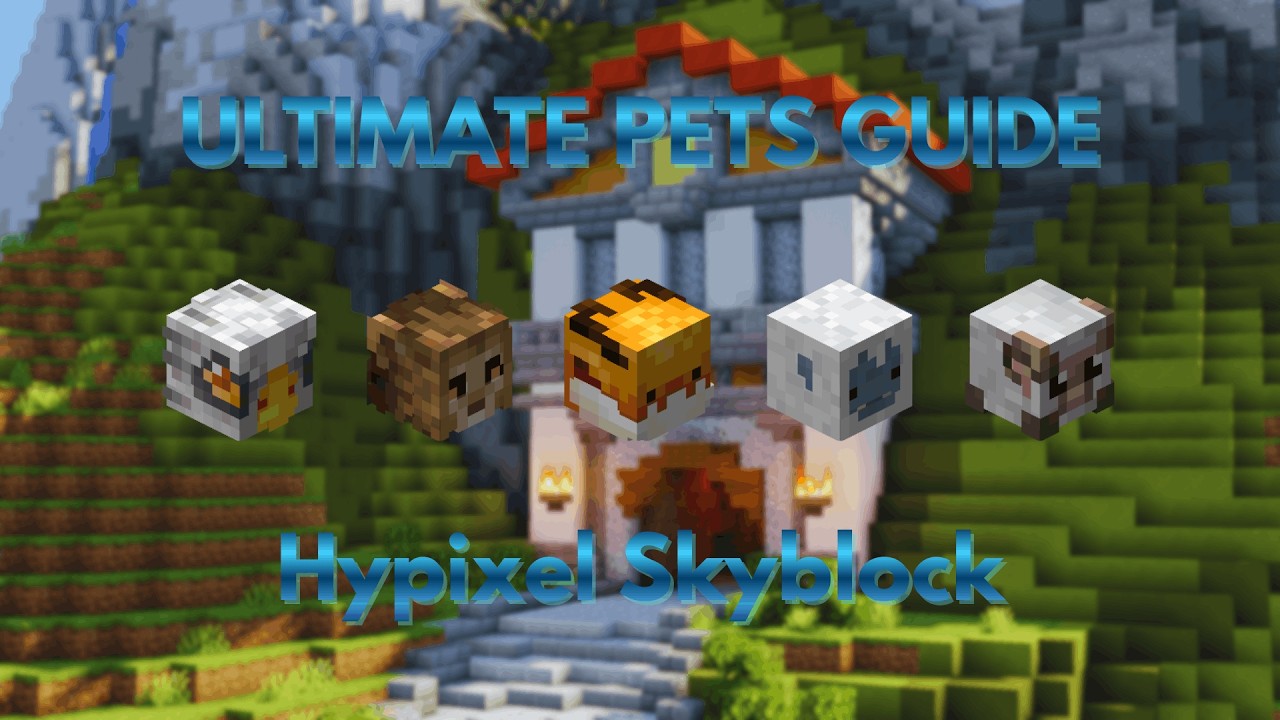 What pets should you use in Hypixel Skyblock?