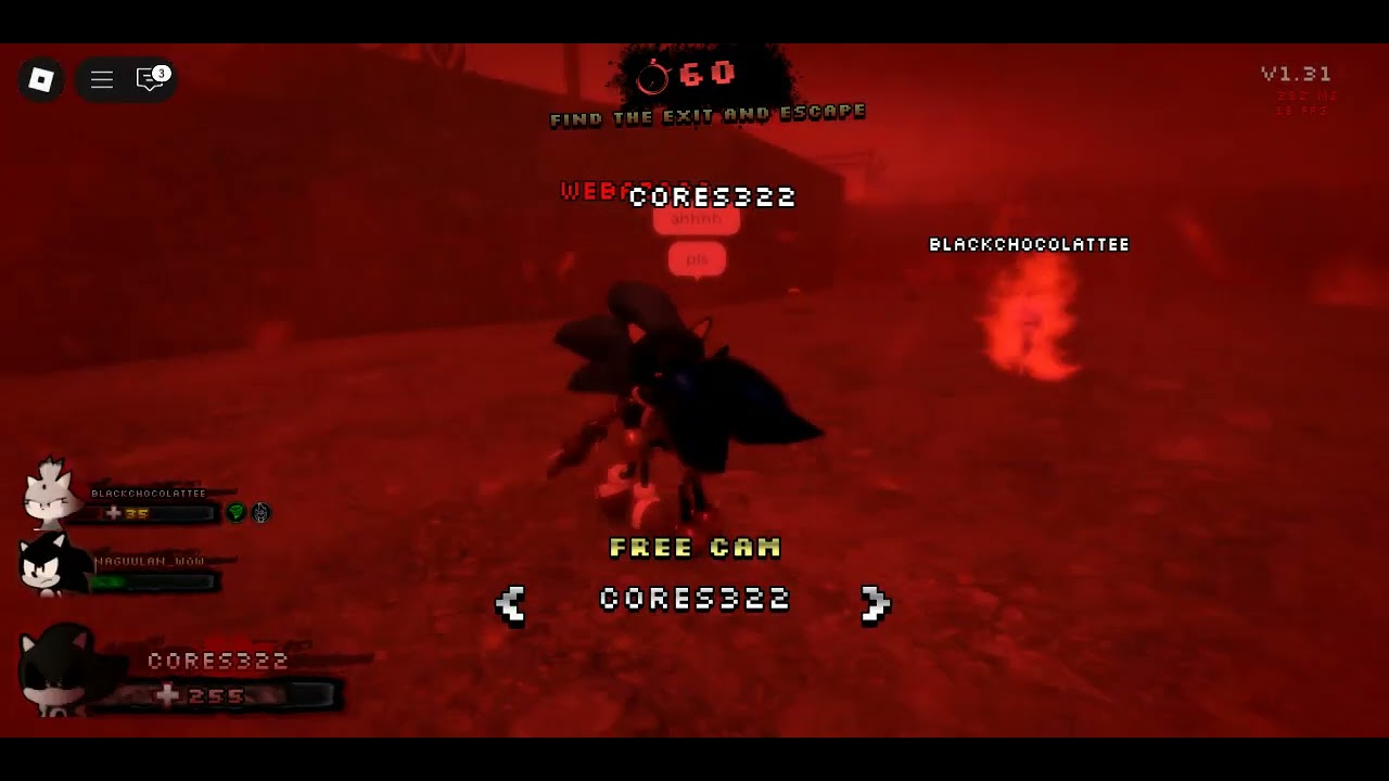 sonic exe the survival (gone wrong)
