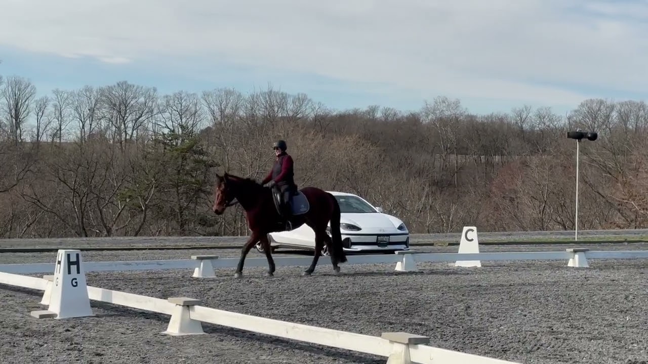 Drift-Dressage-Loch Moy
