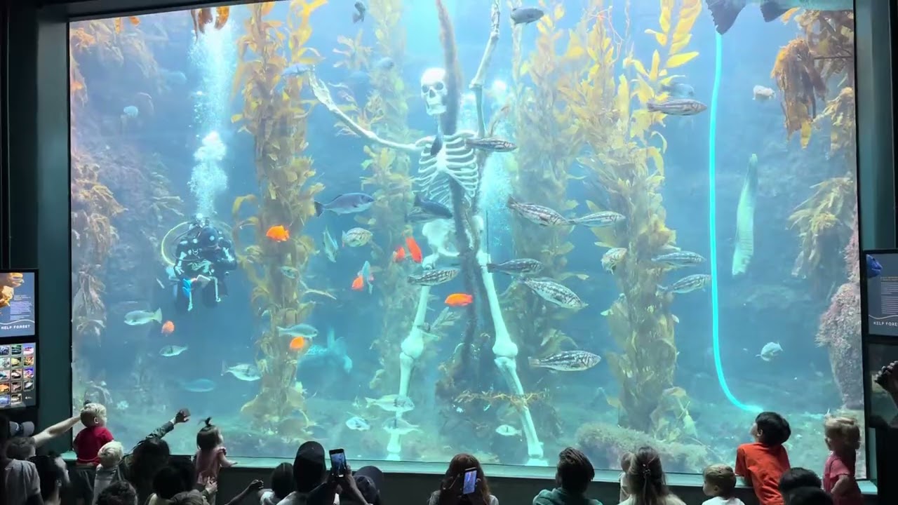 The Birch Aquarium 