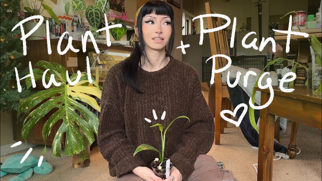 Небольшая закупка растений + Небольшая уборка комнатных растений 🌱