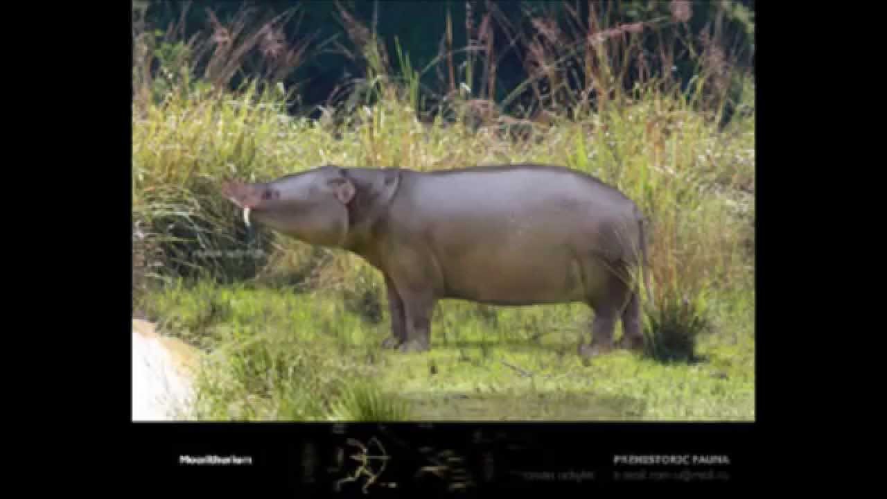 Prehistoric Animals Reconstruction