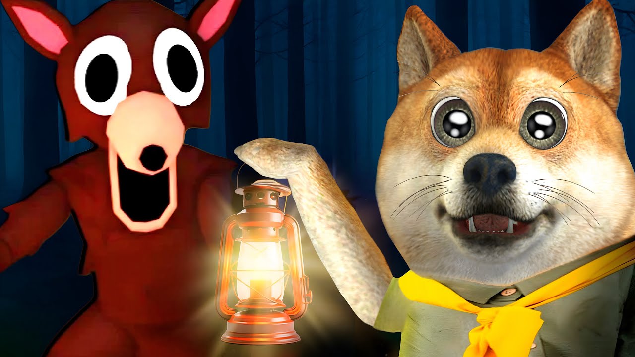 Sobrevivendo 99 noites na floresta...