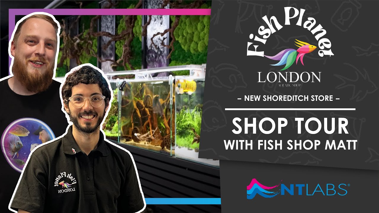 NEW Aquatic Shop | Fish Planet London In Shoreditch | Shop Tour With @FishShopMatt