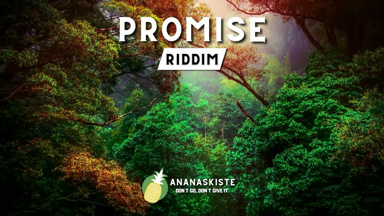 **FREE** Reggae Instrumental Beat 2025 | PROMISE | AnanasKiste