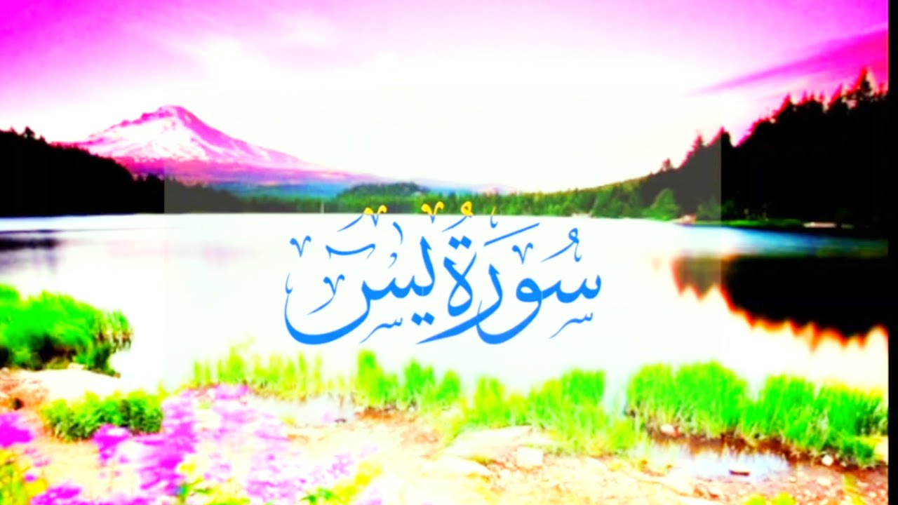 Surah Yaseentilawat#tiawatequran#siddiqui025 