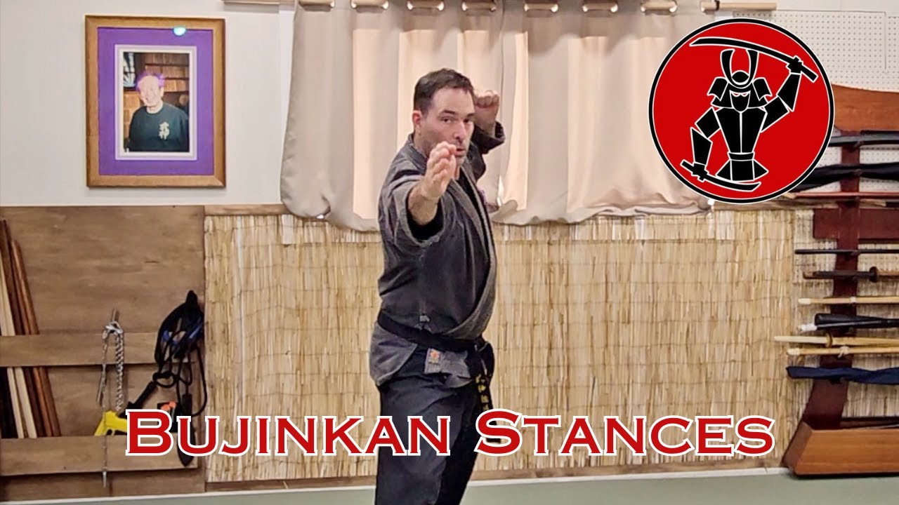 Bujinkan Esstential Stances, Stance Flow
