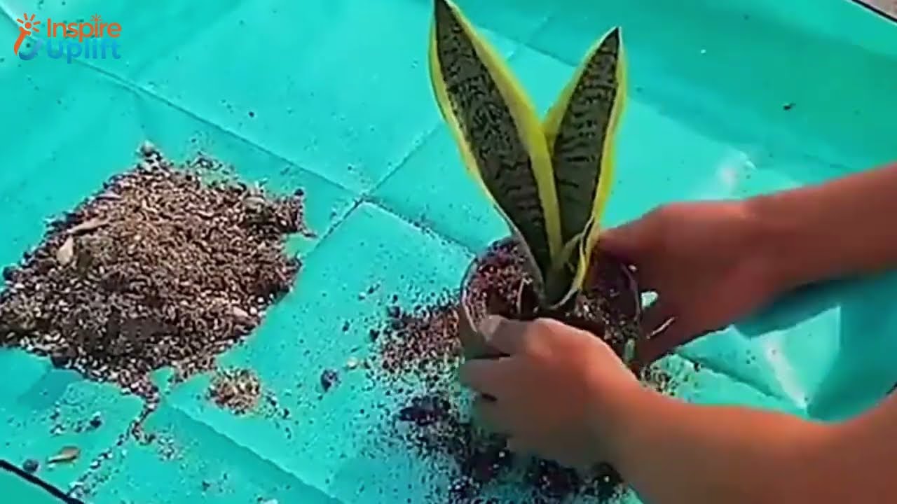 Mess Free Gardening Working Mat