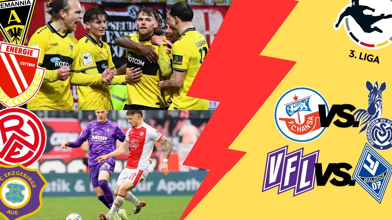 3. Liga Spieltag 29