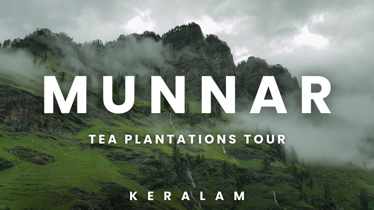 Munnar 😱😱😱 Keralam @CrispyGhouse #youtubeshorts #youtubevideos #ytshorts #youtube #instagram #like 