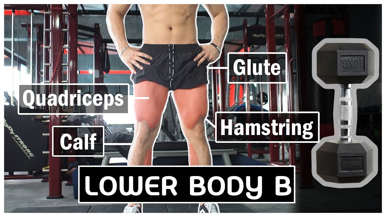 เล่นกล้ามส่วนล่างทั้งหมดด้วยดัมเบล Lower Body B [Upper & Lower Workout]