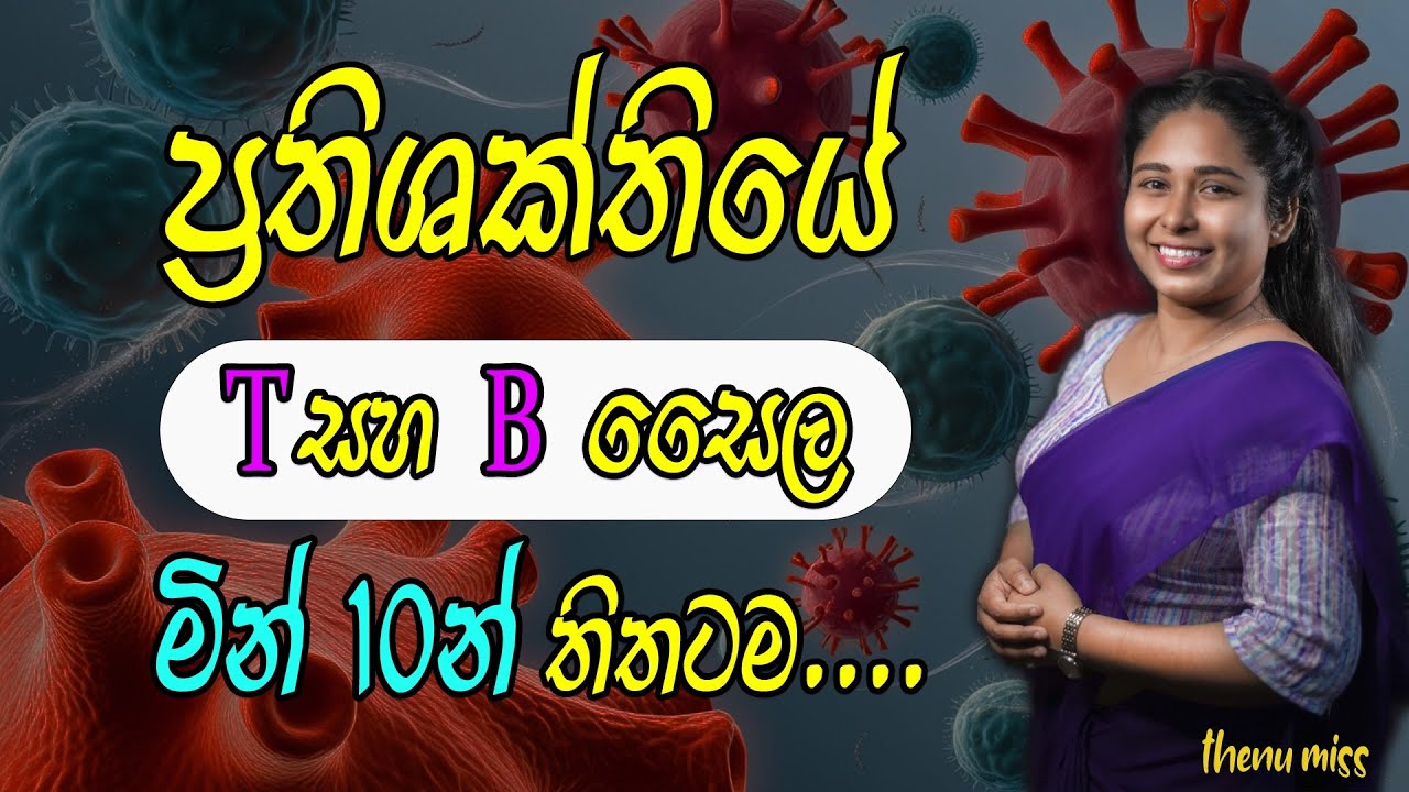T සෛල හා B සෛල | ප්‍රතිශක්තිය | T cells & B cells | Immune system | prathishktthiya T saila & B sail