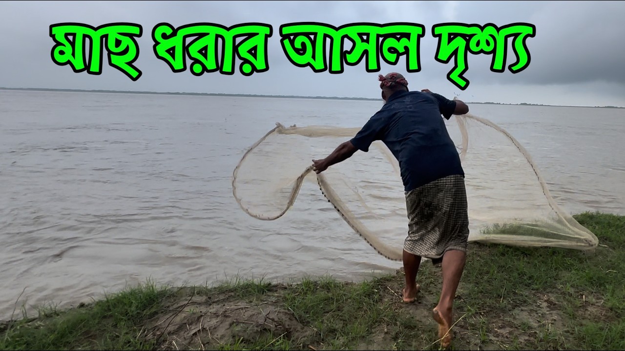 পদ্মা নদীর মাছ ধরার আসল দৃশ্য | Fish Catch in Padma River #villagefishing #fishing #villagelife