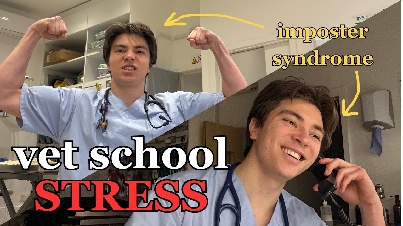 Vet School is Overwhelming | Vet School Vlog