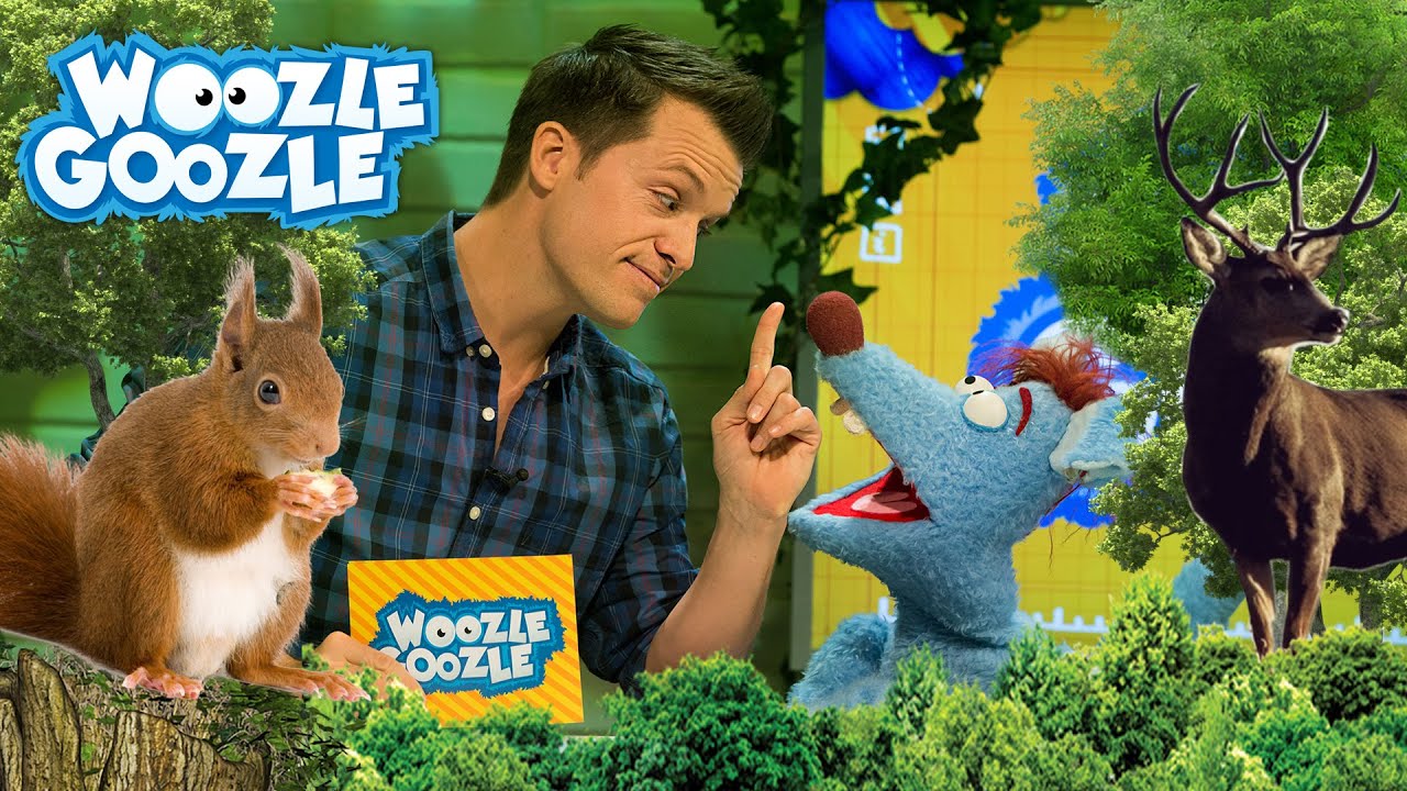 Warum ist der Wald so wichtig? l WOOZLE GOOZLE