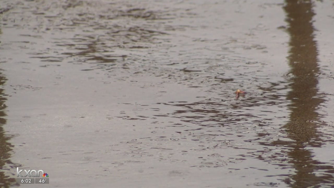 Above-average rainfall in Texas likely in upcoming months