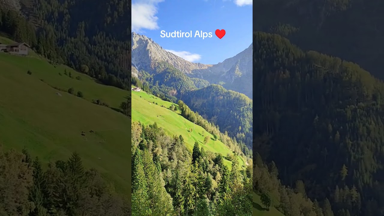 i prati verdissimi dell'Alto Adige #altoadige #sudtirol #trentinoaltoadige #montagnaestate