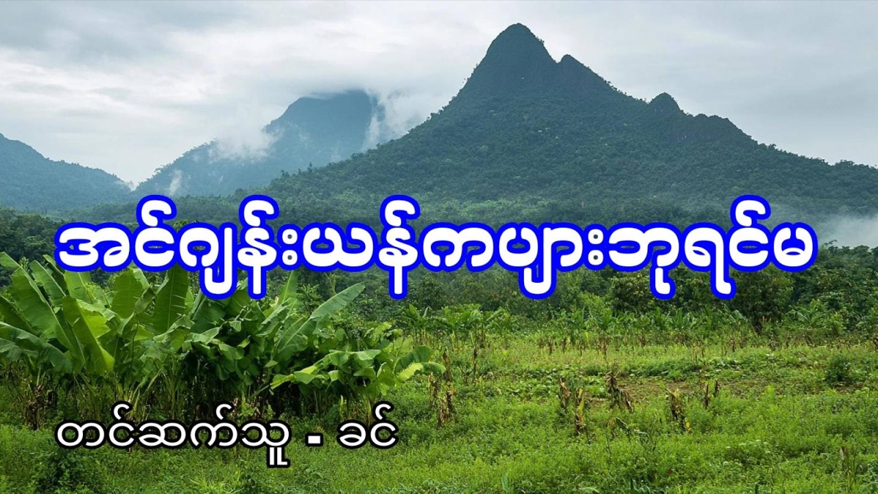 အင်ဂျန်းယန်ကပျားဘုရင်မ - စဆုံး