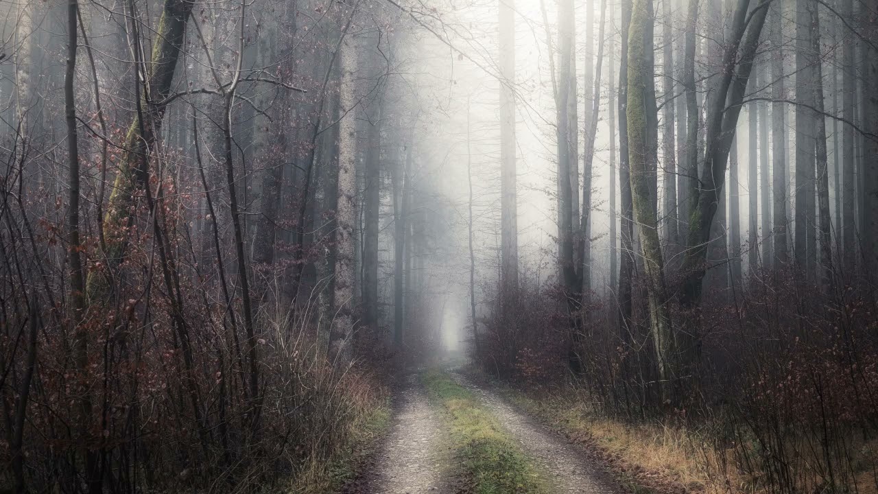 SILENT WALK #ChillGuitar #SmoothAmbient #AmbientMusic #LofiBeat #soundscapes #hypotic