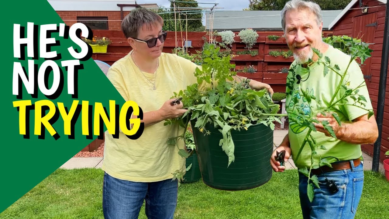 We're taking different approaches with our tomatoes