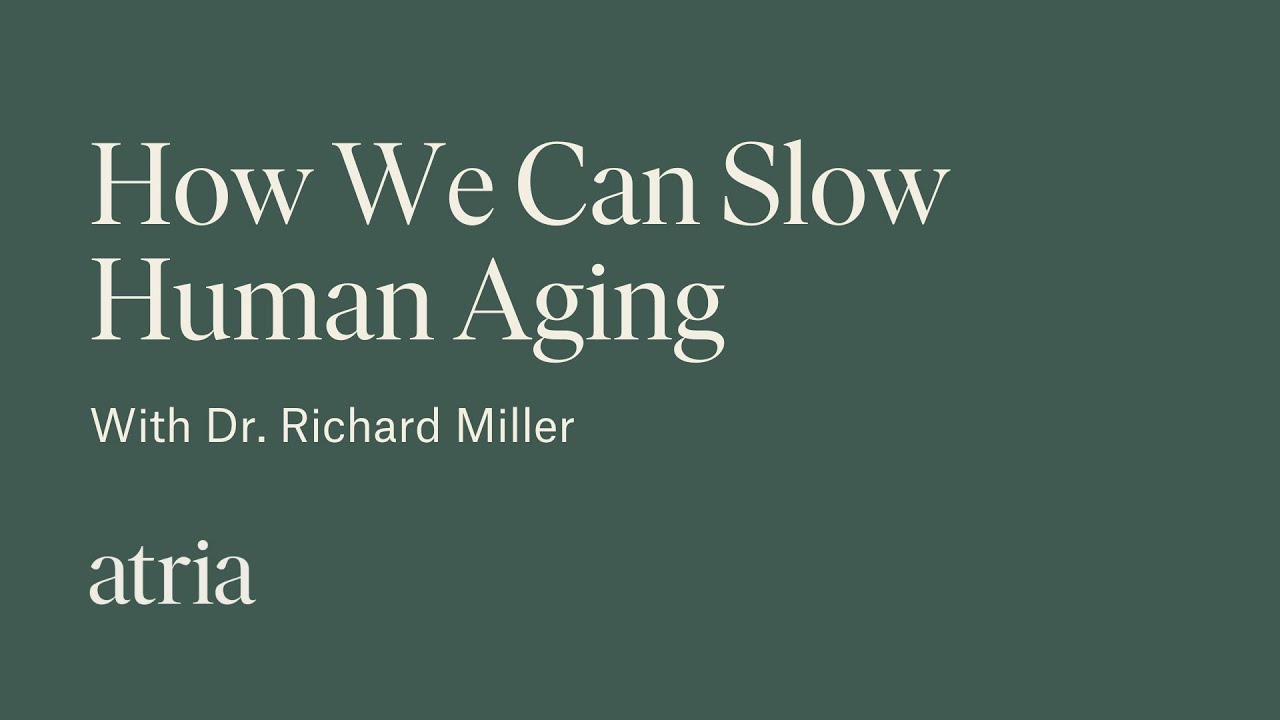 How We Can Slow Human Aging—And Why We Haven't Yet with Dr. Richard Miller