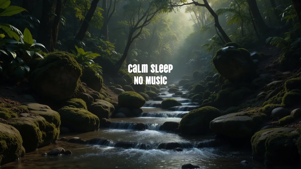 Deep Sleep ASMR – Calm Forest River | Fall Asleep Naturally