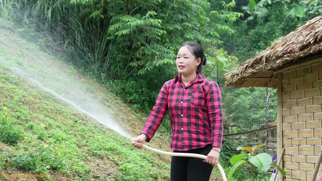 Planting flowers in the garden, harvesting bamboo shoots, making cured meat to sell at the market
