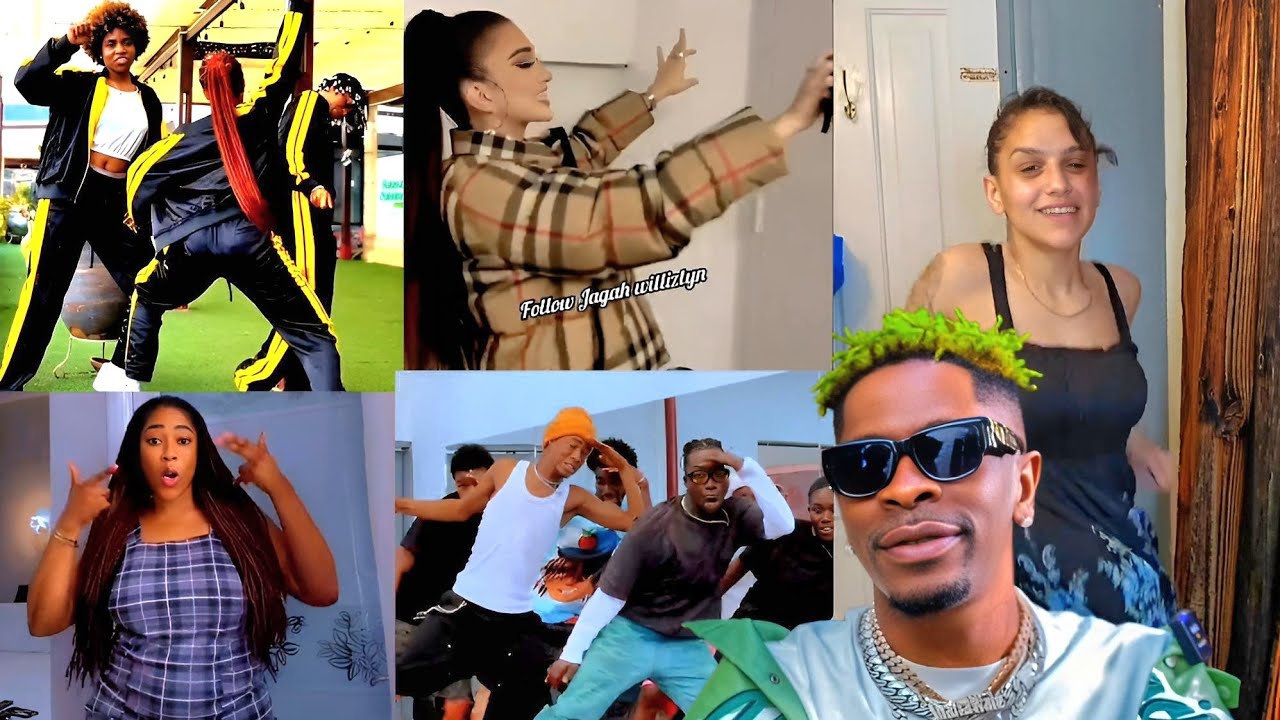 Shatta Wale - Jo Lesse Dance Challenge 💃