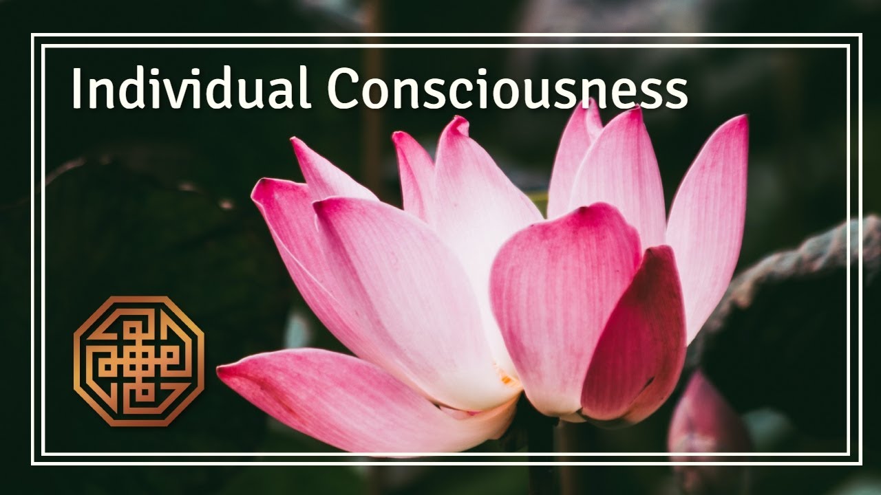 Individual Consciousness (The Soul)