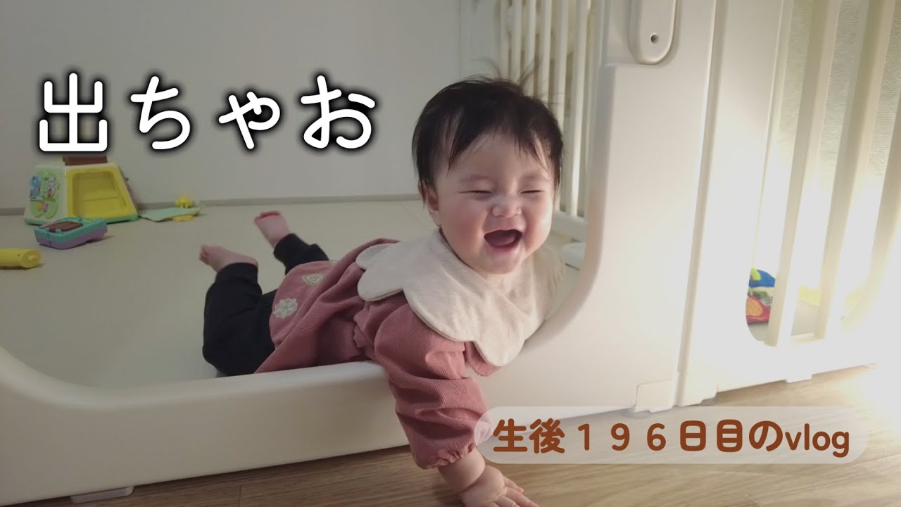 生後196日目 出ちゃお｜1LDK,里帰りなし,完母育児,生後6ヶ月,vlog