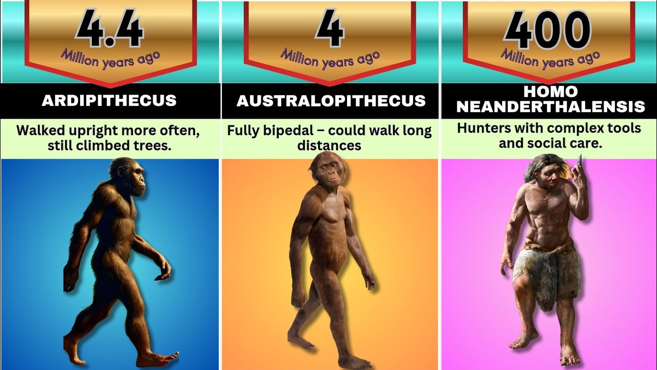 Evolution of life : Cells to Homo sapiens 