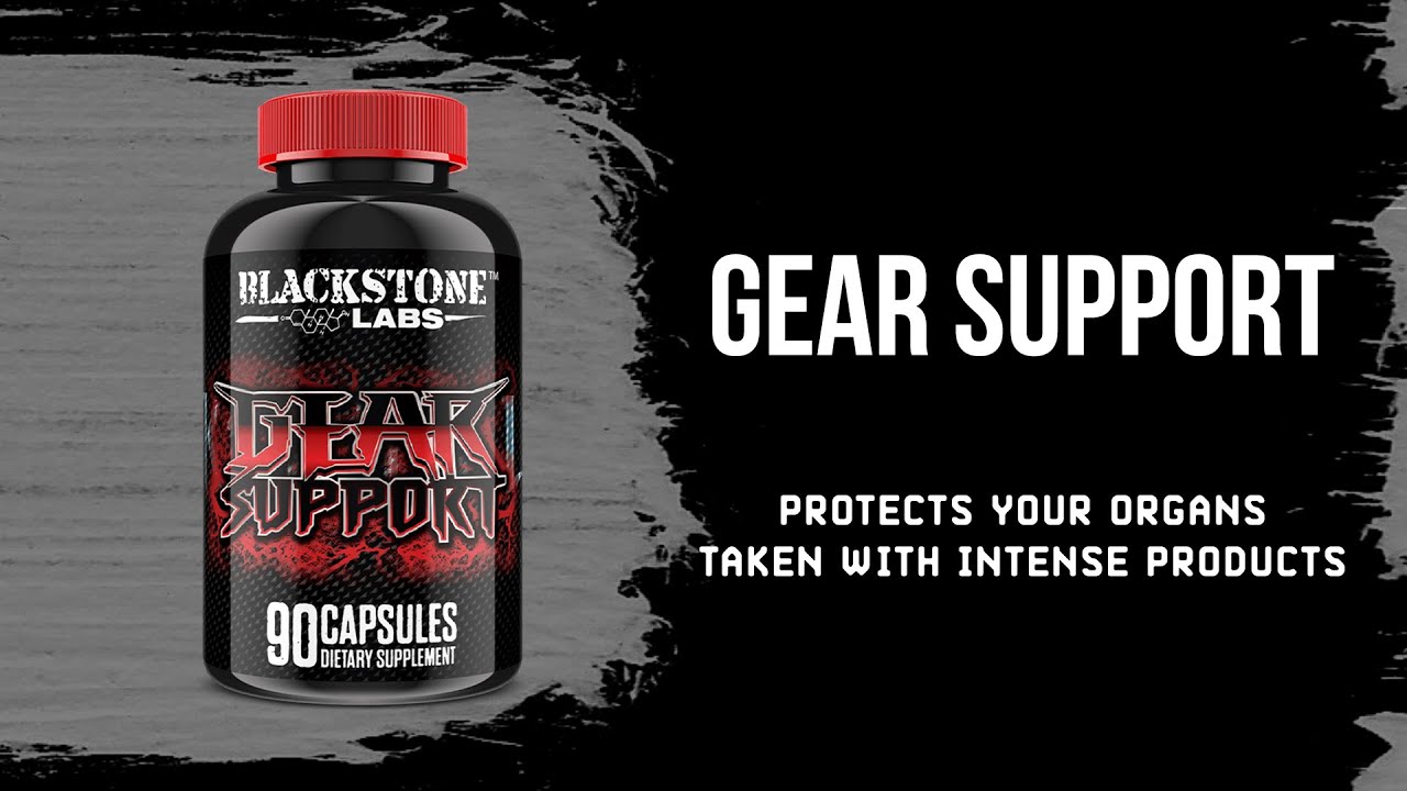 Gear Support | Cycle Support