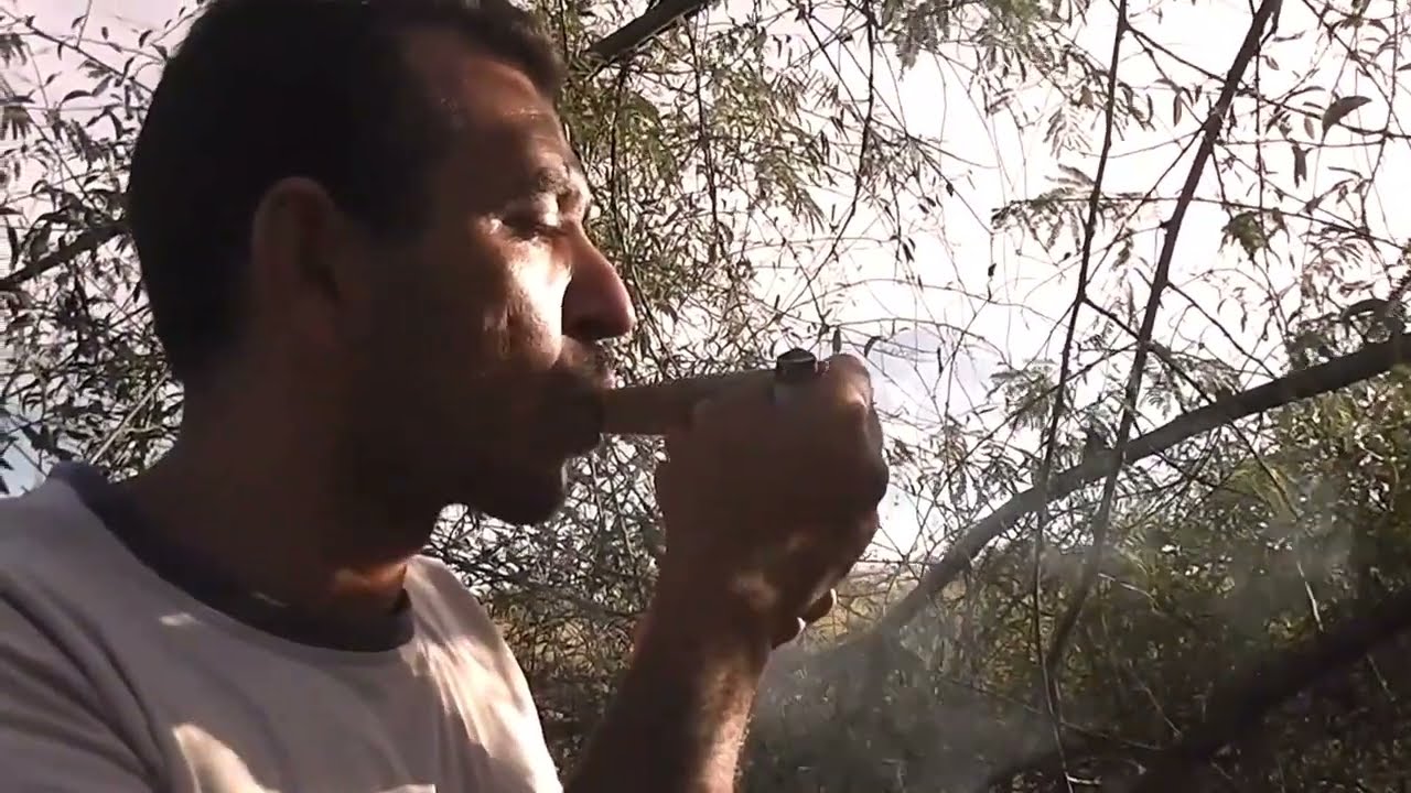 Como os indios fazem  jurema preta e remédio para a 