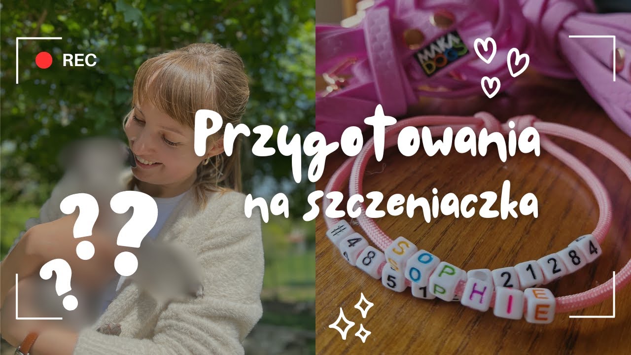 Przygotowania na szczeniaczka! Poznajcie Sophie ❤️ Charcik włoski dołącza do naszej rodziny!